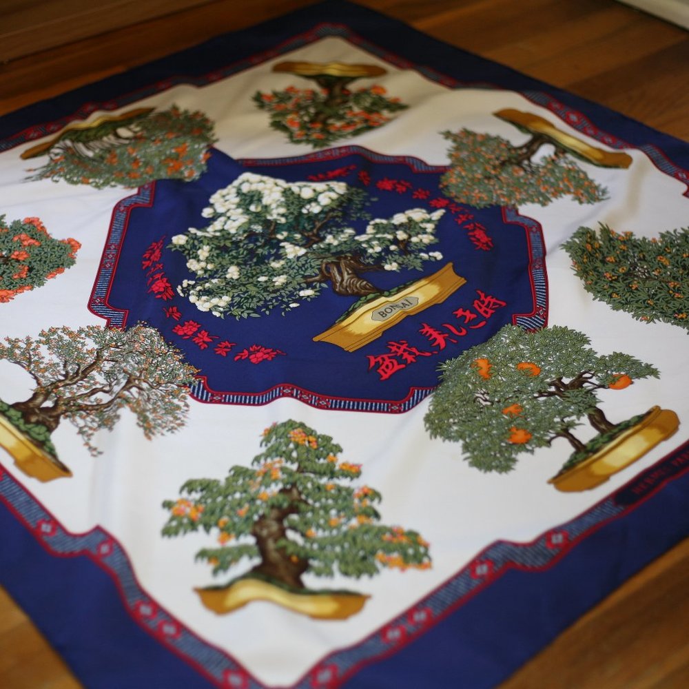 Hermès silk bonsai scarf